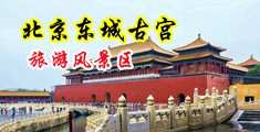 肥臀大逼中国北京-东城古宫旅游风景区
